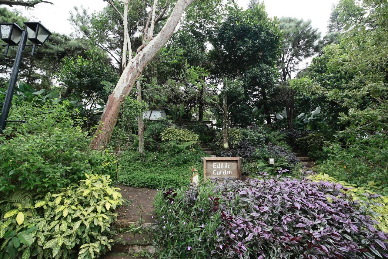 La Bella Boutique Hotel Tagaytay City